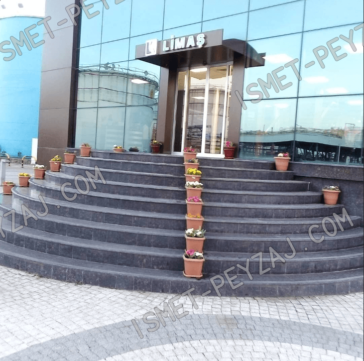 proje-bakim-limas