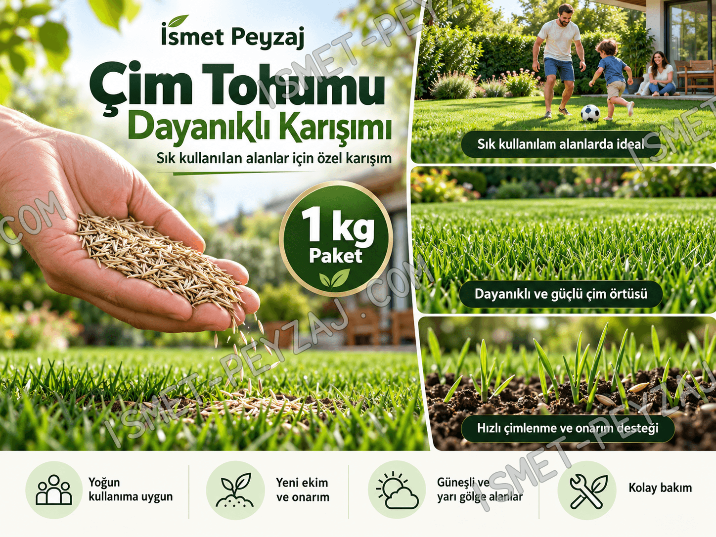 cim-tohumu-dayanikli