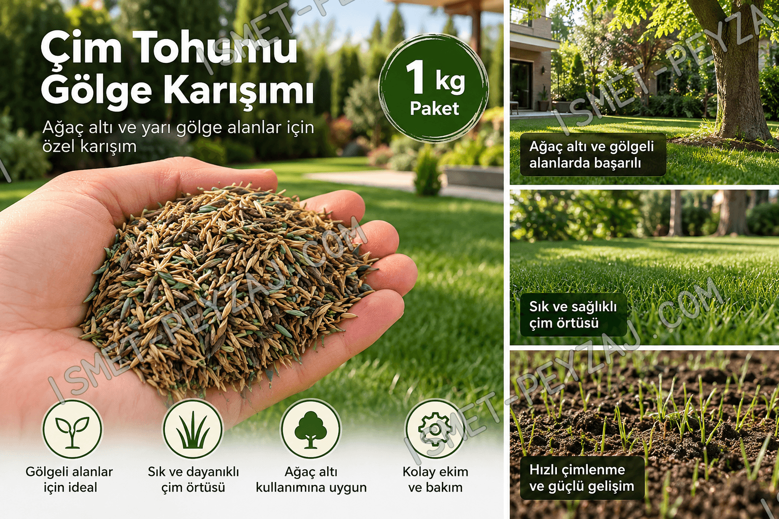 cim-tohumu-golge-karisim